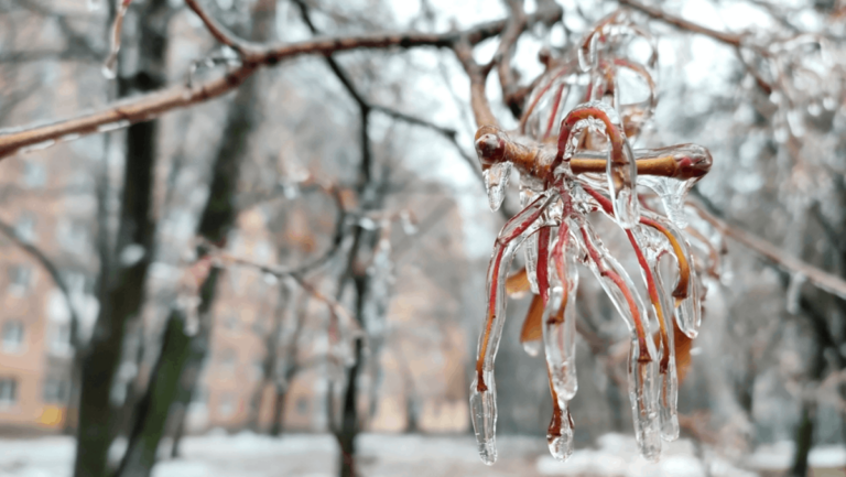 Nashville Remembers 3 Devastating Ice Storms as History Threatens to Repeat Itself