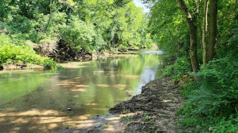 While Tourists Pack Broadway, Franklin Locals Spend Their Time Doing These 7 Things