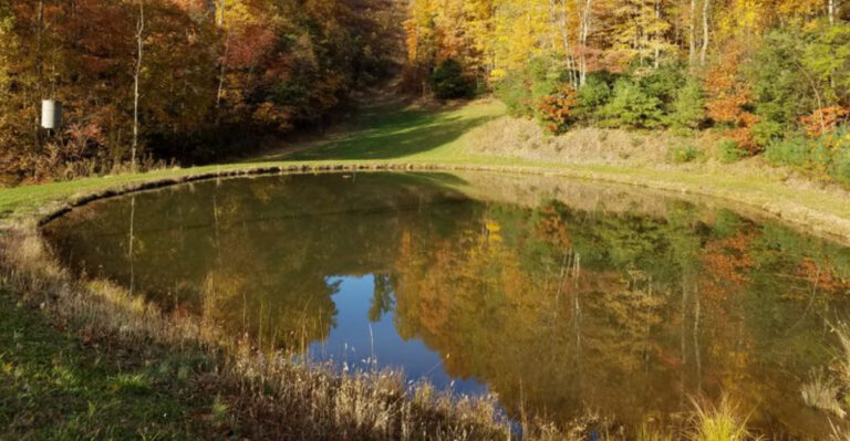 A Quiet Tennessee Mountain Town Where You Can Actually Hear Yourself Think