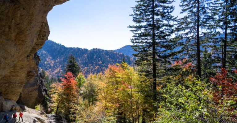 Incredible Tennessee Hikes You’ll Want to Add to Your Bucket List