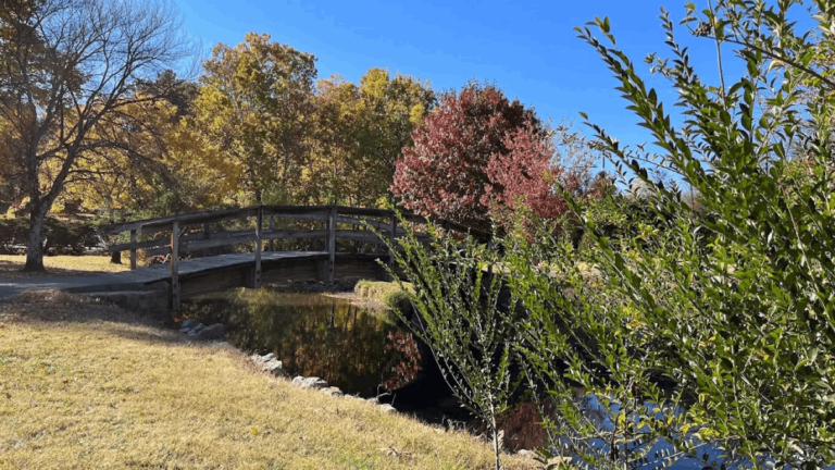 10 Safest Towns in Tennessee Where Residents Truly Feel at Home