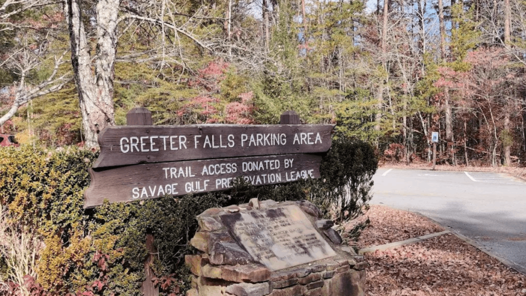 10 Secret Tennessee Forest Trails That Feel Like a Real-Life Fairytale