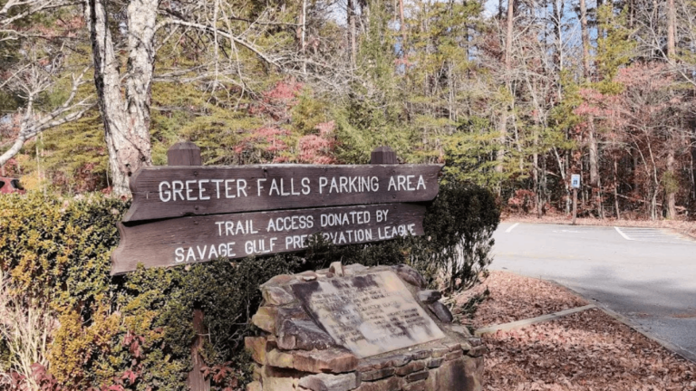 10 Secret Tennessee Forest Trails That Feel Like a Real-Life Fairytale