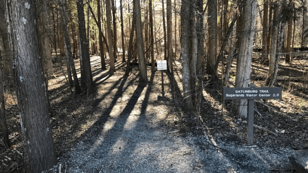 11 Easy Smoky Mountain Hikes Your Kids Will Absolutely Love