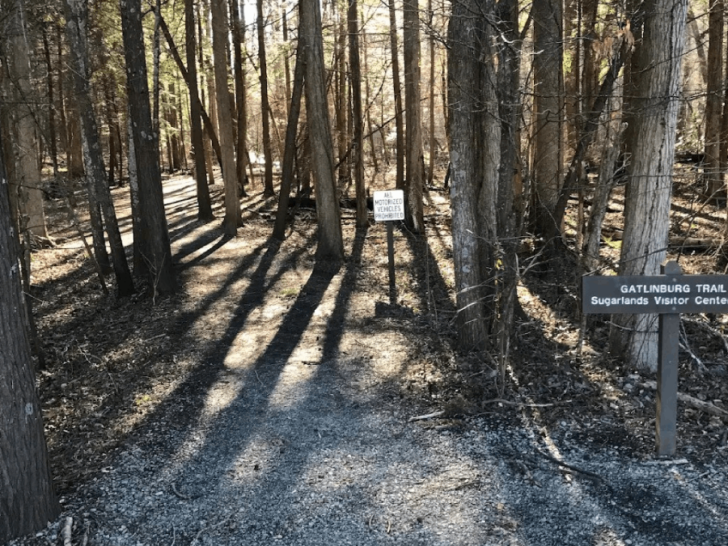 11 Easy Smoky Mountain Hikes Your Kids Will Absolutely Love