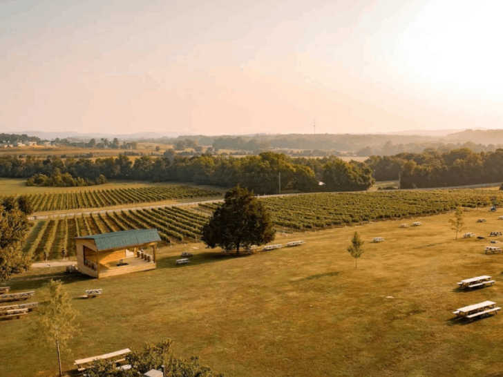 13 Underrated Tennessee Day Trips You'll Want to Take This Year