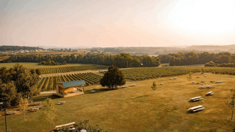 13 Underrated Tennessee Day Trips You’ll Want to Take This Year