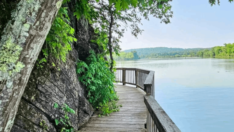 6 Scenic Boardwalks in Tennessee You’ll Want to Stroll This Year