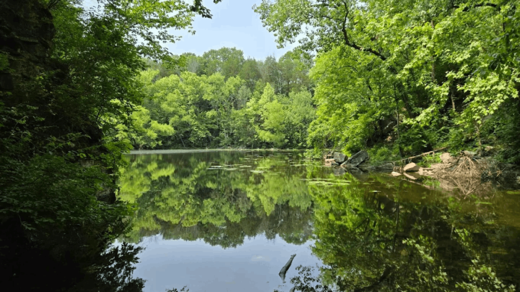 7 Tennessee Lakes That Locals Don't Want You to Know About
