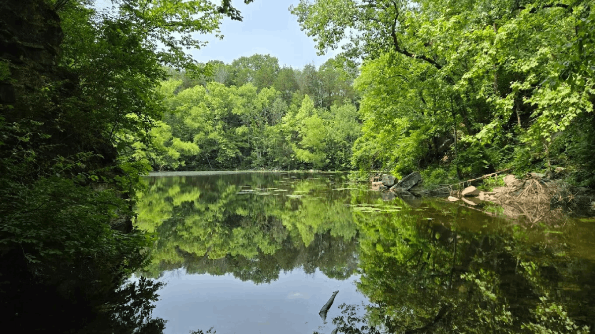 7 Tennessee Lakes That Locals Don't Want You to Know About