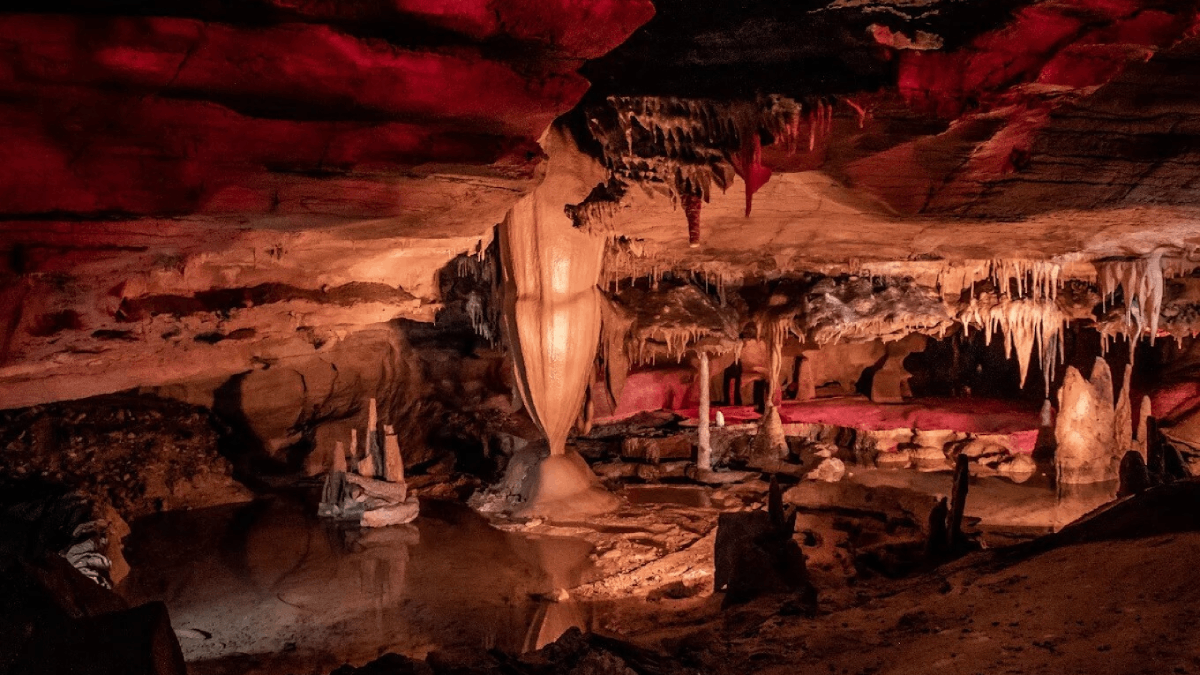 7 Things to Do in Tennessee When You Think You've Done It All