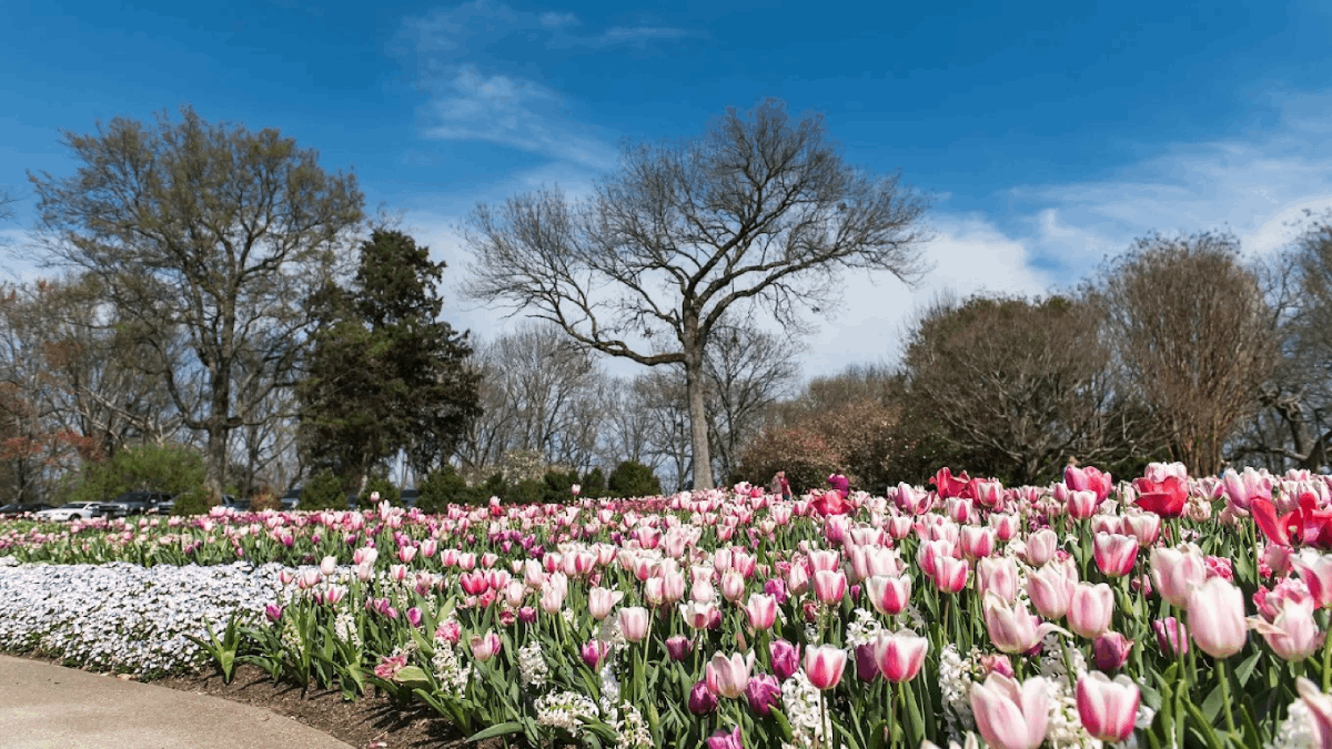 9 Dreamy Tennessee Gardens That Look Like a Scene from Wonderland