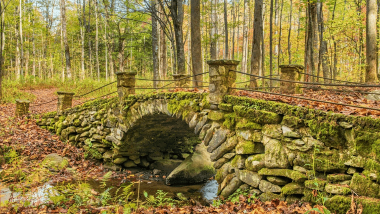 9 Hidden Gems in Tennessee's Smoky Mountains Tourists Rarely Find