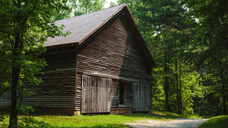 Explore Tennessee’s Peaceful Mountain Town With Adventures Above and Below Ground