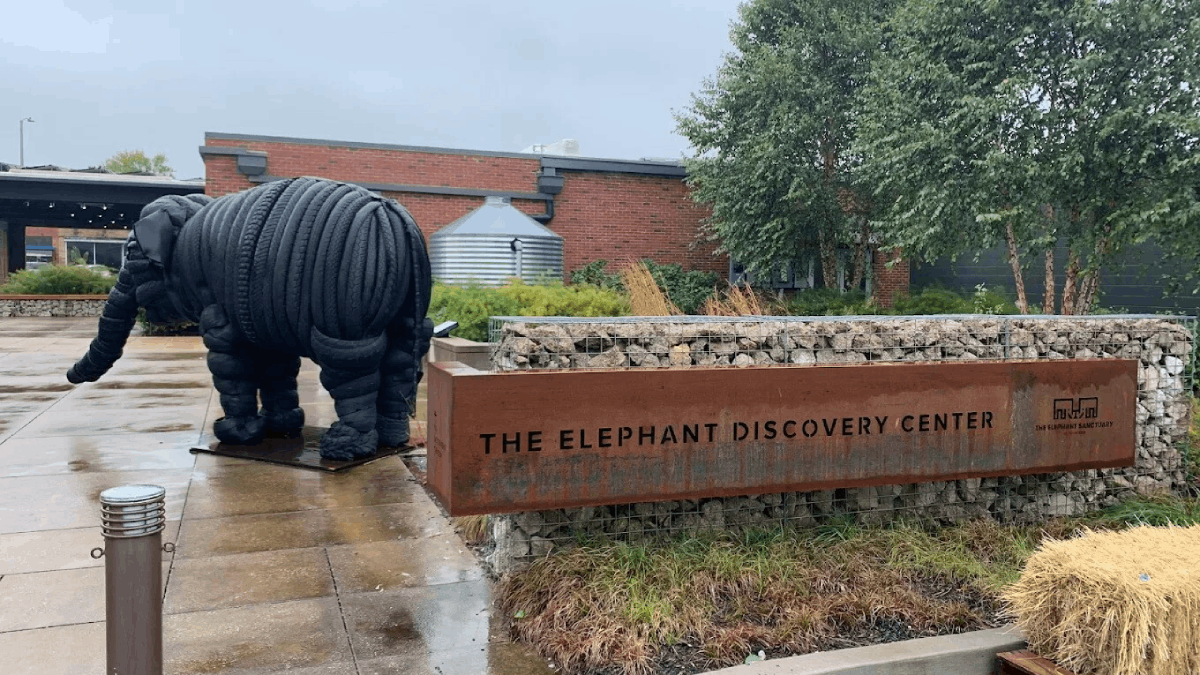 Few People Know Tennessee Has a Sanctuary Where Elephants Roam Free