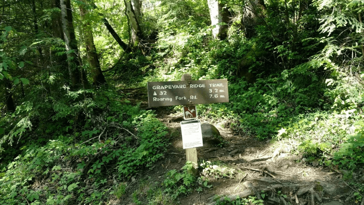 Hike to a 100-Year-Old Steam Engine Hidden Deep in Tennessee's Smoky Mountains