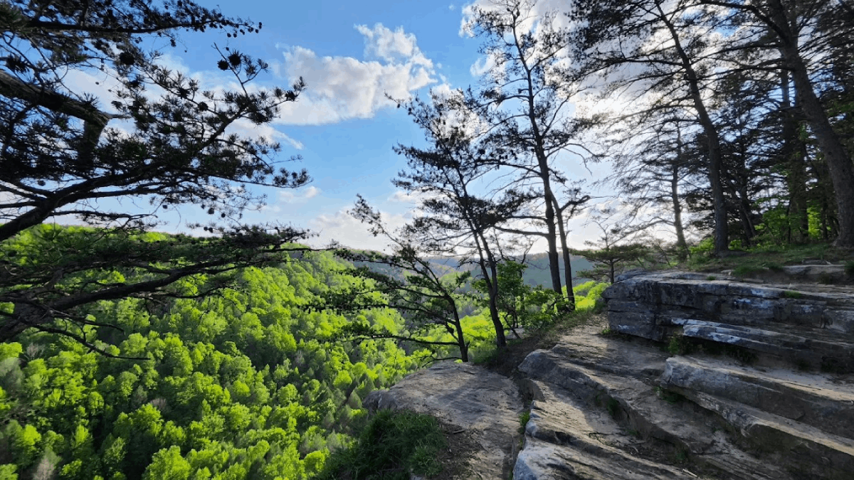 If You Only Have Time for One Tennessee State Park, Here's the One That Truly Stands Out