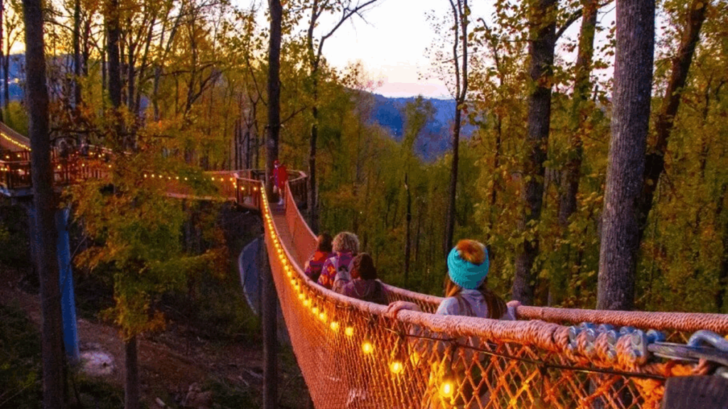 Tennessee Is Home to North America's Longest Treetop Skywalk — And It Glows at Night