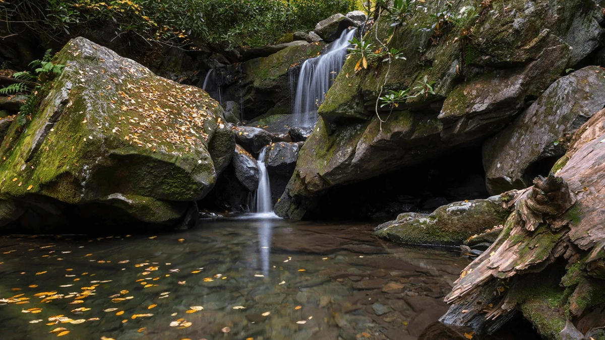 This Is One of Tennessee’s Prettiest Easy Hikes — And It’s Almost Too Good to Be True