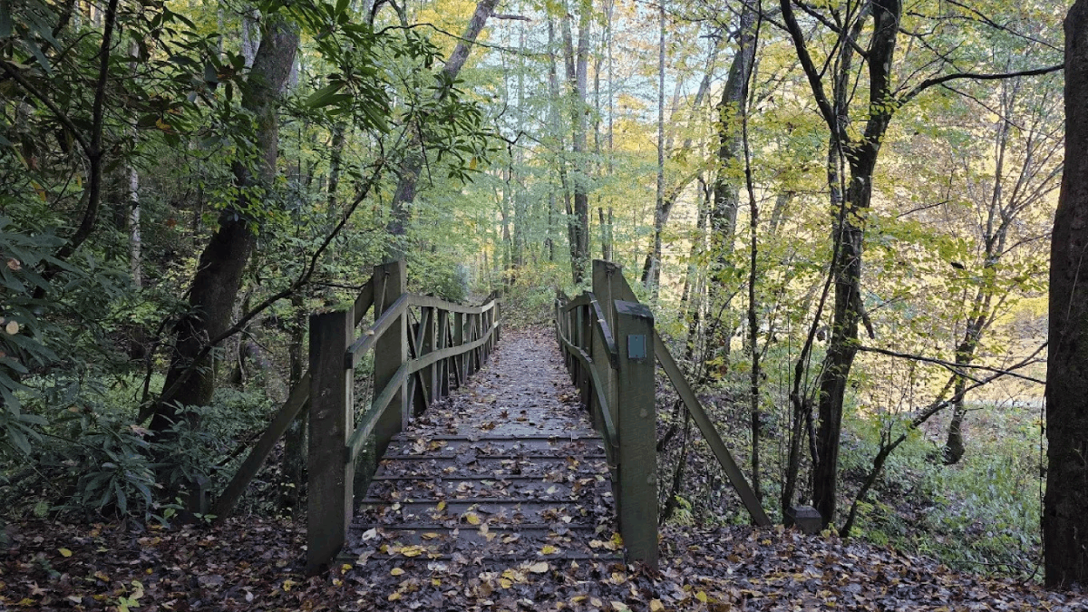 This Secluded Tennessee Hike Takes You to a Lost Ghost Town