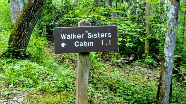 This Secluded Tennessee Homestead Tells One of the State’s Most Remarkable Stories