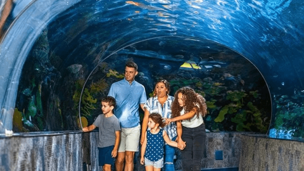 This Tennessee Aquarium Lets You Ride a Glass-Bottom Boat and Meet Penguins