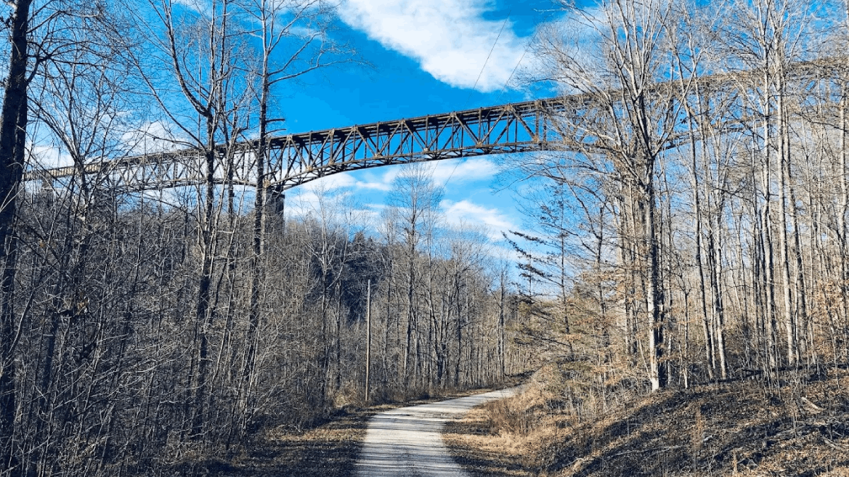 This Towering Railroad Bridge in Tennessee Will Leave You Speechless