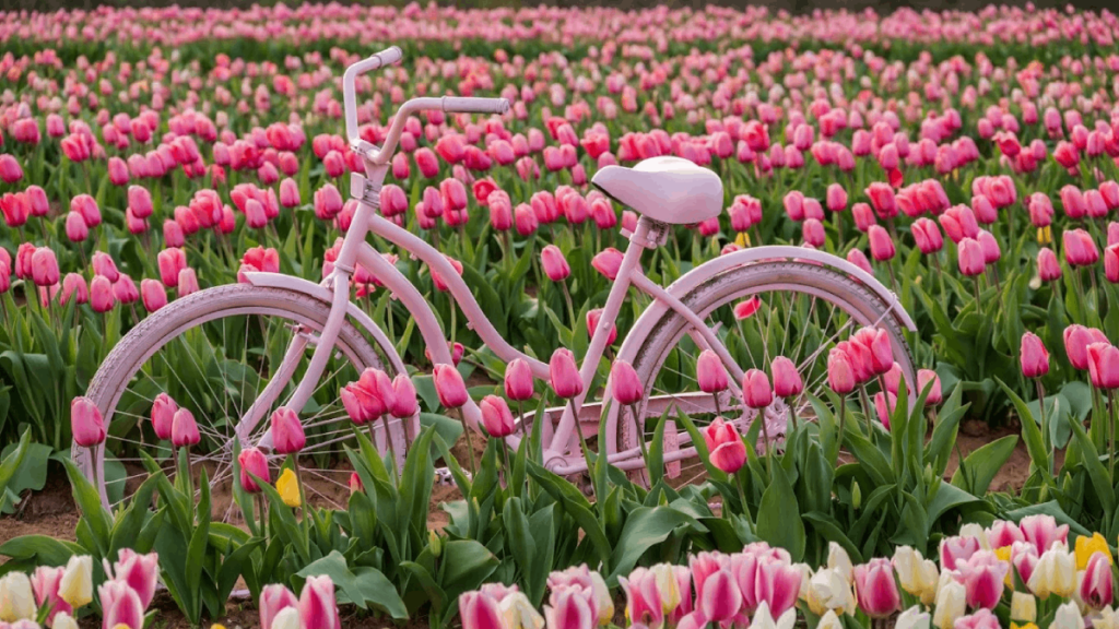 Tulip Season in Tennessee Is Almost Here — Here Are 5 Stunning Farms You Need to Visit