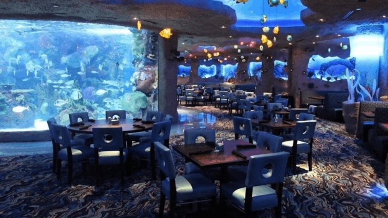 You Won't Believe This Underwater Dining Experience Exists in Tennessee