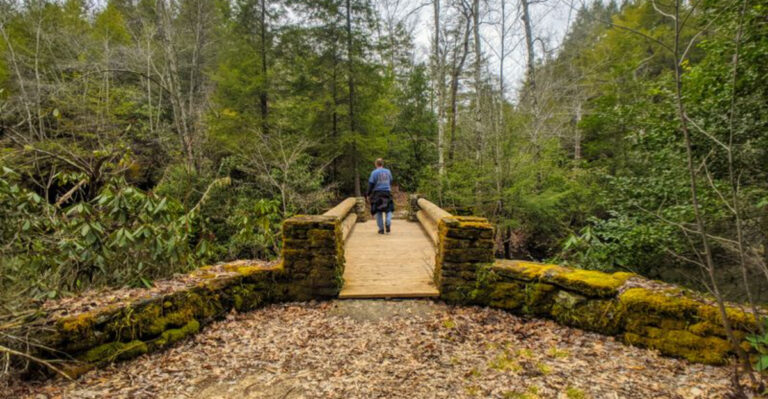 This Quiet Tennessee State Park Is One of the Most Peaceful Places in the South