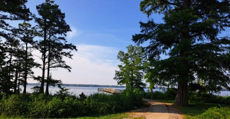 We Found the 7 Prettiest Places to Visit in Tennessee This Spring