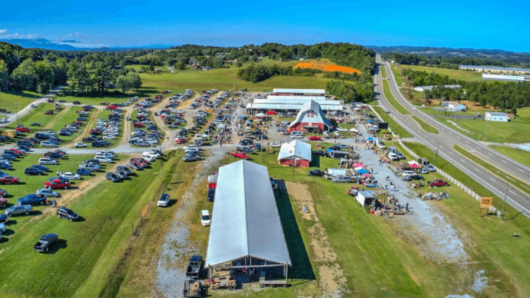 10 Legendary Tennessee Flea Markets That Make It Almost Impossible to Leave Empty-Handed