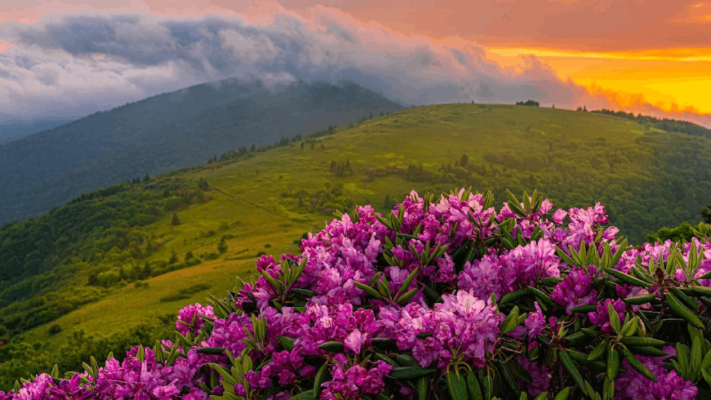 10 Magical Places in Tennessee That Feel Almost Too Good to Share