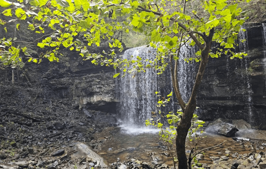 10 Outdoor Adventures in Tennessee That Are Perfect for Spring Break