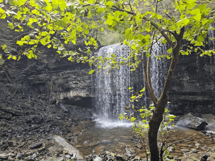 10 Outdoor Adventures in Tennessee That Are Perfect for Spring Break