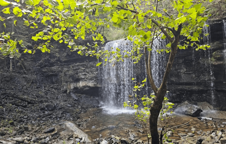 10 Outdoor Adventures in Tennessee That Are Perfect for Spring Break
