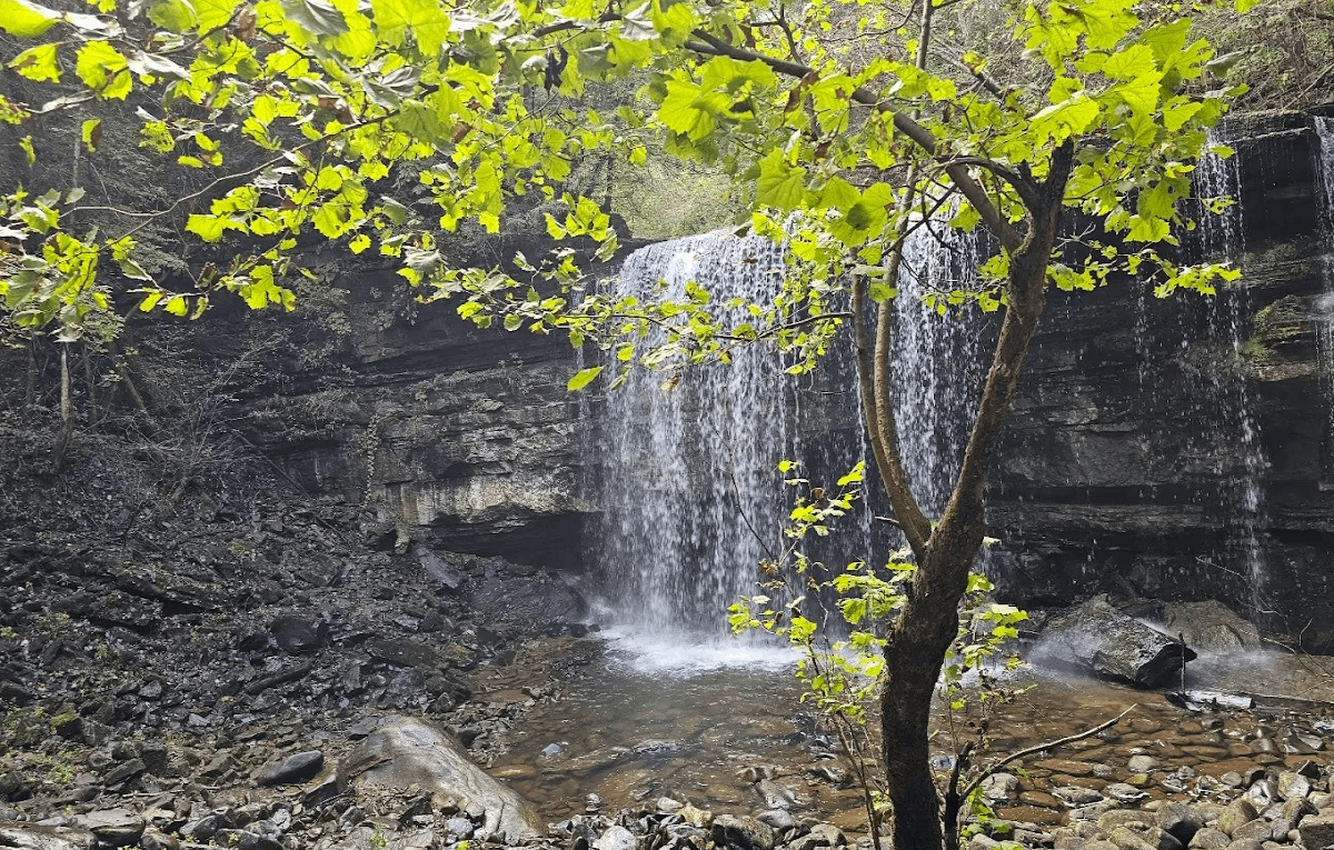 Spring In Tennessee 10 Outdoor Adventures in Tennessee That Are Perfect for Spring Break