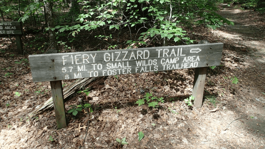 10 Tennessee Hiking Trails So Hidden Even Many Locals Don't Know Them