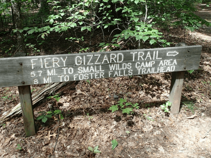 10 Tennessee Hiking Trails So Hidden Even Many Locals Don't Know Them