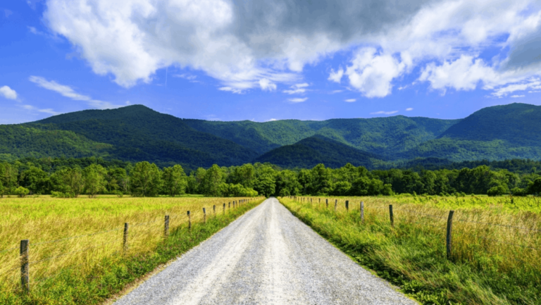 10 Tennessee Spring Attractions That Are Even More Beautiful in Person