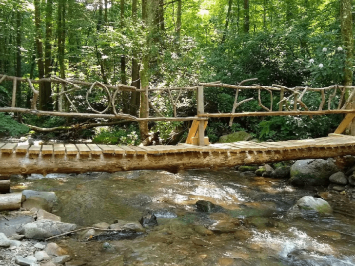 10 Tennessee State Parks So Stunning, You'll Swear They're National Parks