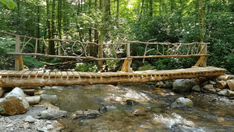 10 Tennessee State Parks So Stunning, You’ll Swear They’re National Parks