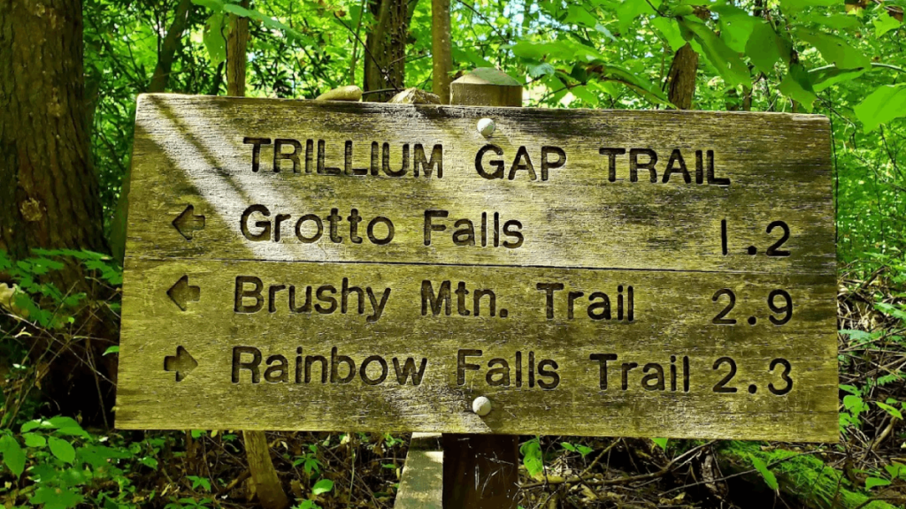 11 Tennessee Hikes Under 3 Miles That Deliver Big Views