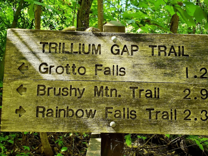 11 Tennessee Hikes Under 3 Miles That Deliver Big Views