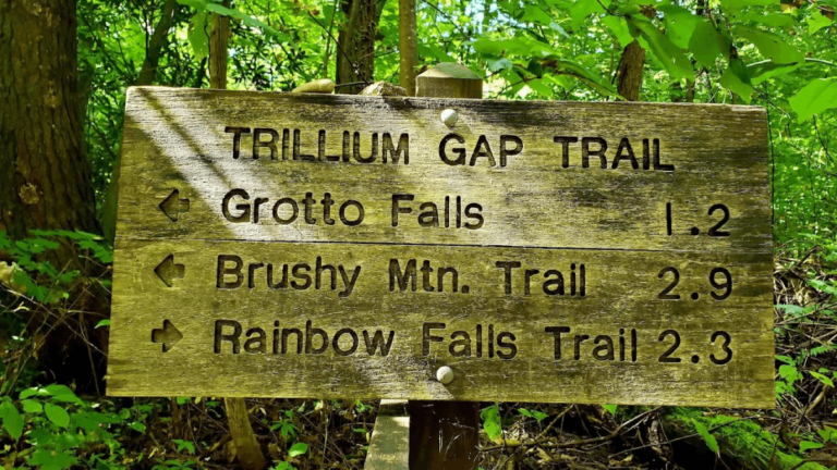 11 Tennessee Hikes Under 3 Miles That Deliver Big Views