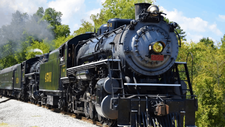 11 Unusual Tennessee Museums That Are Way More Interesting Than You’d Expect