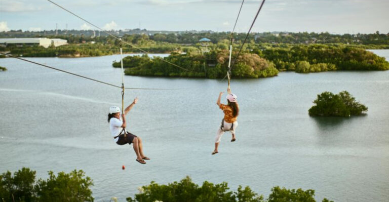 13 Best Zip Line Courses Across Tennessee for Views, Speed, and Adventure