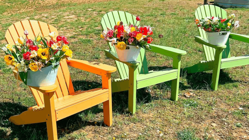 7 Gorgeous Tennessee Flower Farms That Are Worth Visiting This March