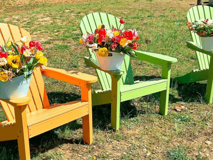 7 Gorgeous Tennessee Flower Farms That Are Worth Visiting This March