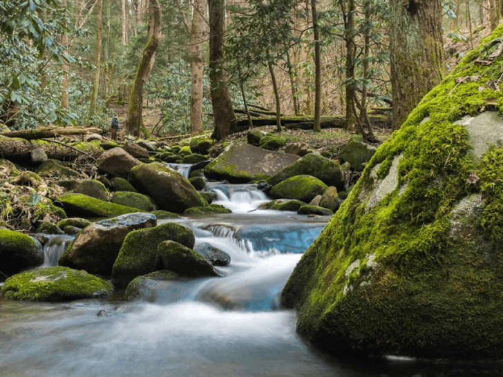7 Remote Trails in Tennessee With Stunning Views and Fewer Crowds